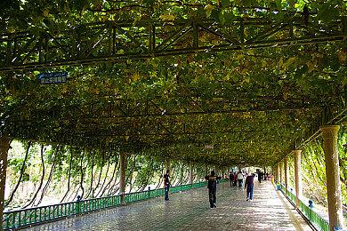 官方Steam Deck基座延期发布 不影响掌机本体销售